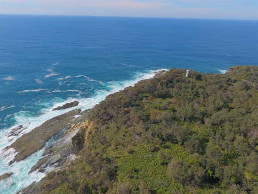 Burrewarra Point Banksia Walk, Guerilla Bay, NSW