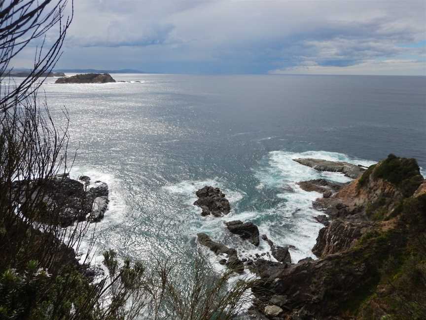 Burrewarra Point Banksia Walk, Guerilla Bay, NSW