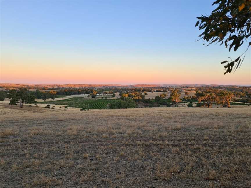 Eden Valley Lookout, Eden Valley, SA