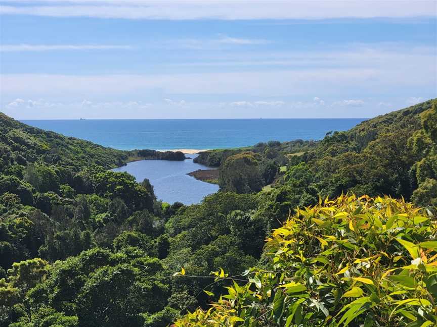 Yuelarbah Walking Track, Whitebridge, NSW