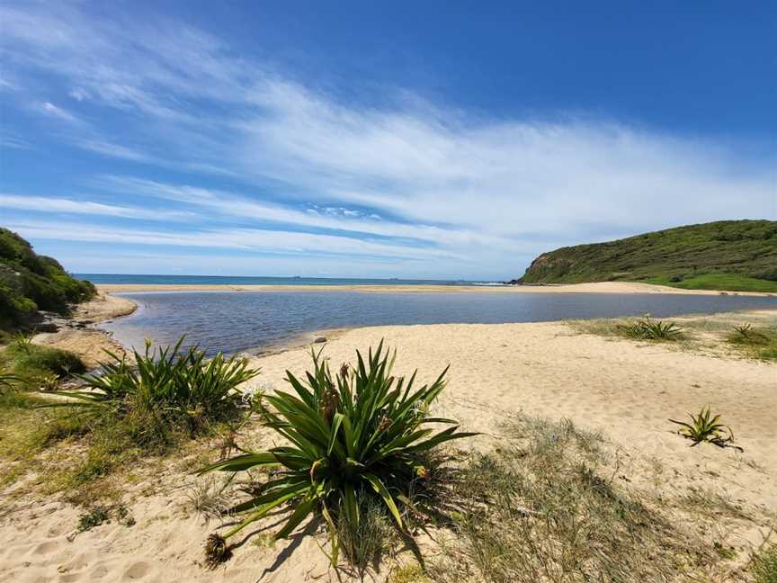 Yuelarbah Walking Track, Whitebridge, NSW