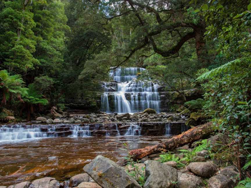 Liffey Falls Reserve, Liffey, TAS