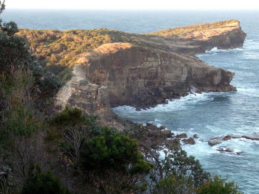 Kattang Nature Reserve, Camden Head, NSW