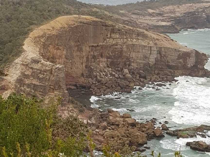 Kattang Nature Reserve, Camden Head, NSW