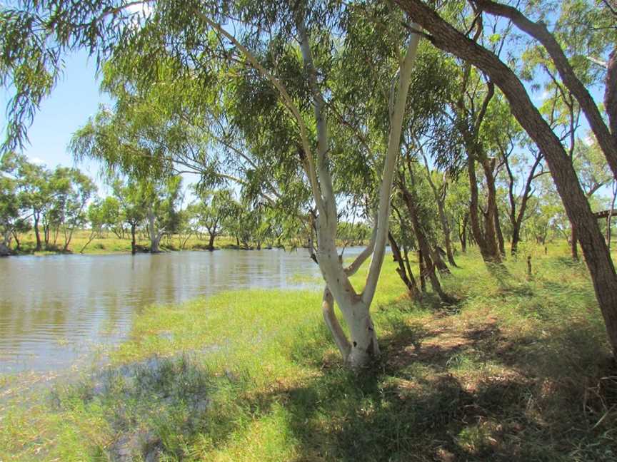 Wiliyan-ngurru National Park, Camooweal, QLD