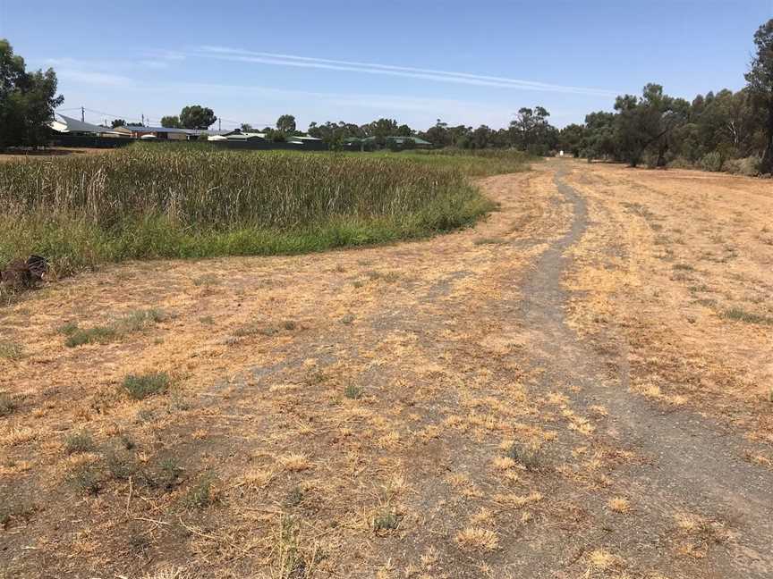 Tiddalik Wetlands and Bird Sanctuary, Darlington Point, NSW