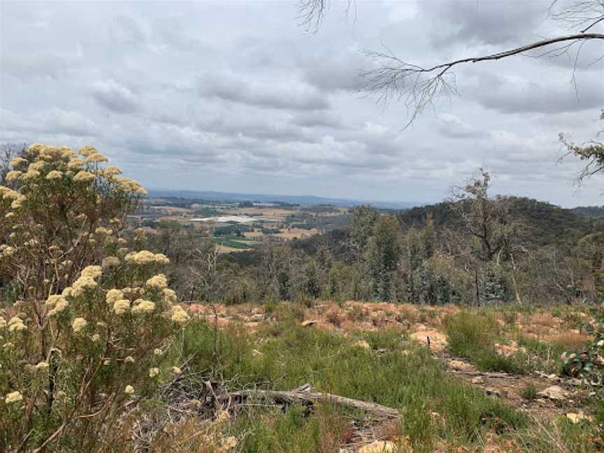 Orange View picnic area and lookout, Canobolas, NSW