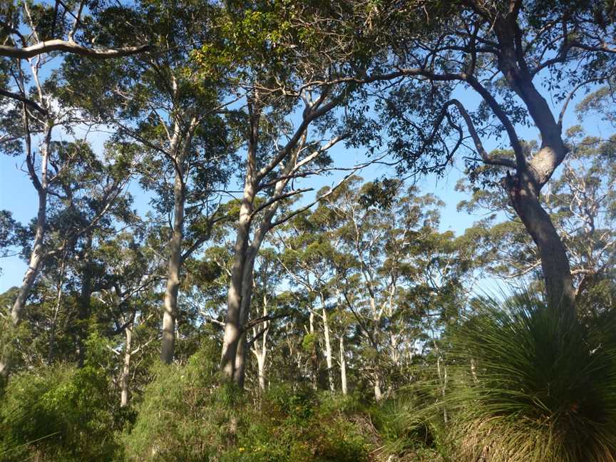 Cape to Cape Track, Dunsborough, WA