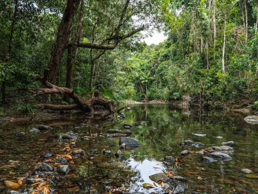 Emmagen Creek, Cape Tribulation, QLD