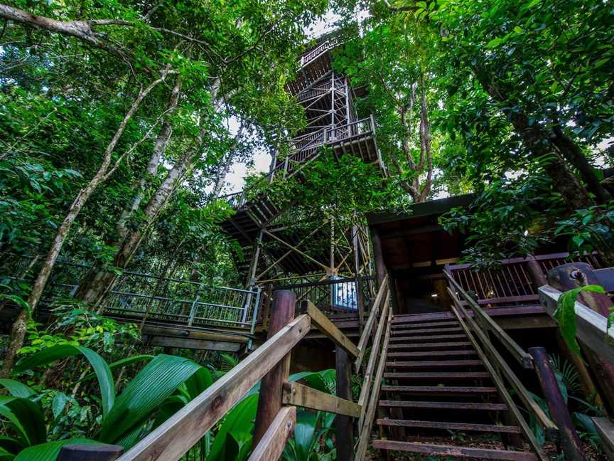 Daintree Discovery Centre, Cow Bay, QLD