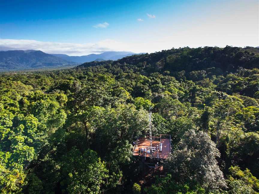 Daintree Discovery Centre, Cow Bay, QLD