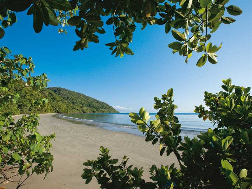 Cape Tribulation, Daintree National Park, Daintree, QLD