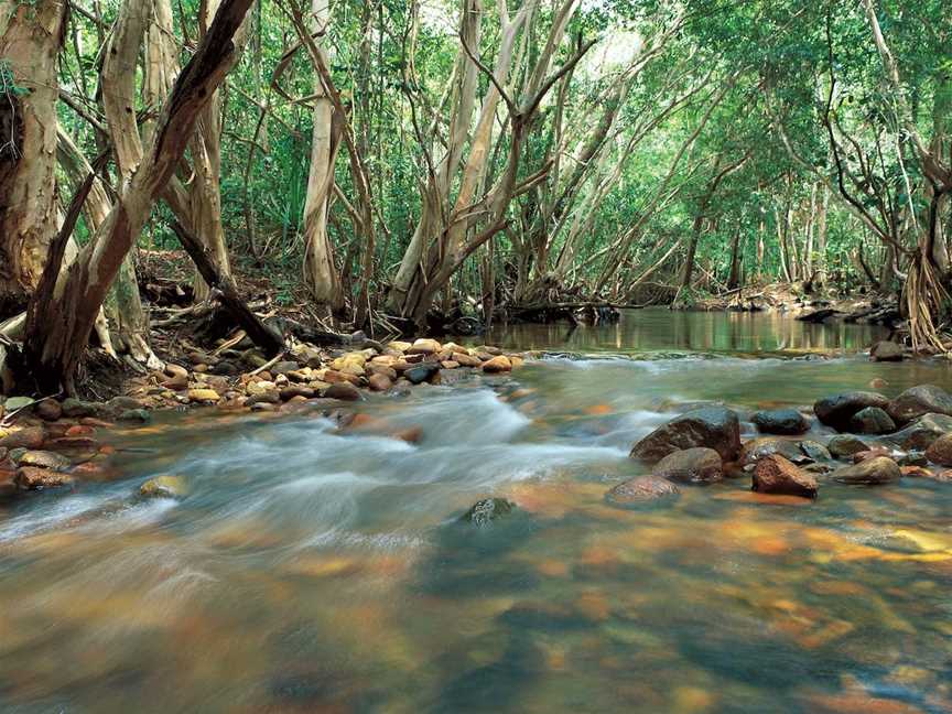 Tully Gorge National Park, Tully, QLD