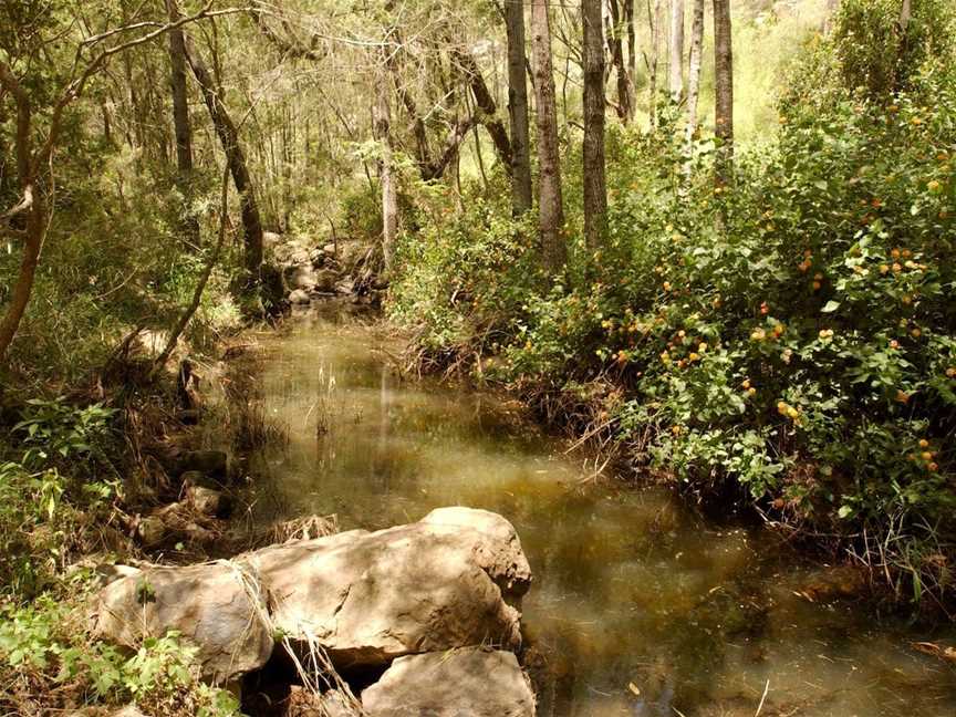 Flinders-Goolman Conservation Estate, Purga, QLD