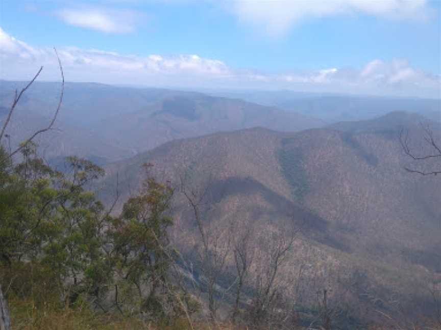 Carrai National Park, Carrai, NSW