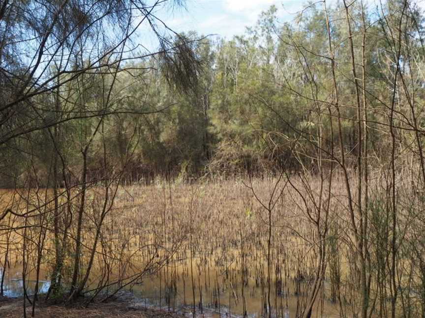 Longneck Lagoon Walking Track, Pitt Town, NSW