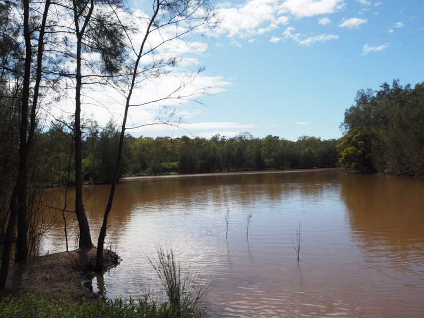 Longneck Lagoon Walking Track, Pitt Town, NSW