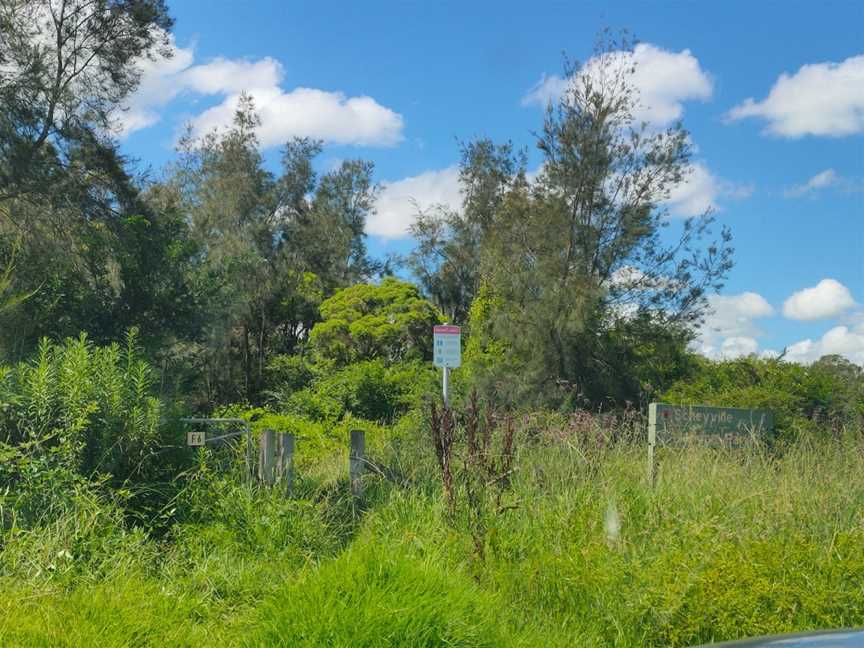 Longneck Lagoon Walking Track, Pitt Town, NSW