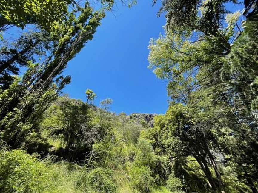 Victoria Arch walking track, Wombeyan Caves, NSW