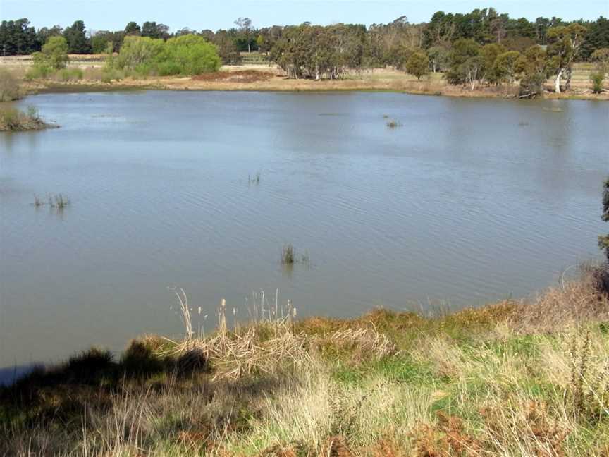 Cecil Hoskins Nature Reserve, Burradoo, NSW