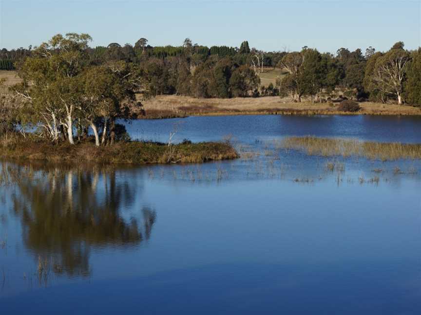 Cecil Hoskins Nature Reserve, Burradoo, NSW