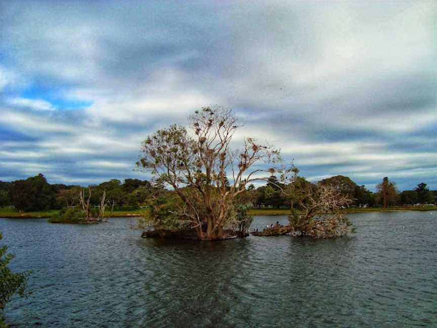 Duck Pond, Centennial Park, NSW