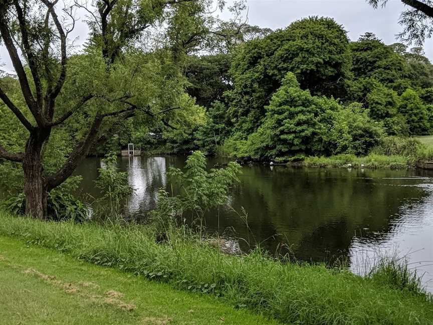 One More Shot Pond, Centennial Park, NSW