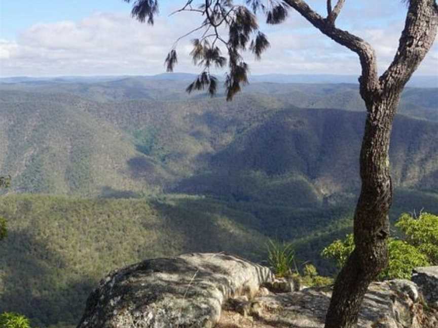 Guy Fawkes River National Park, Chaelundi, NSW