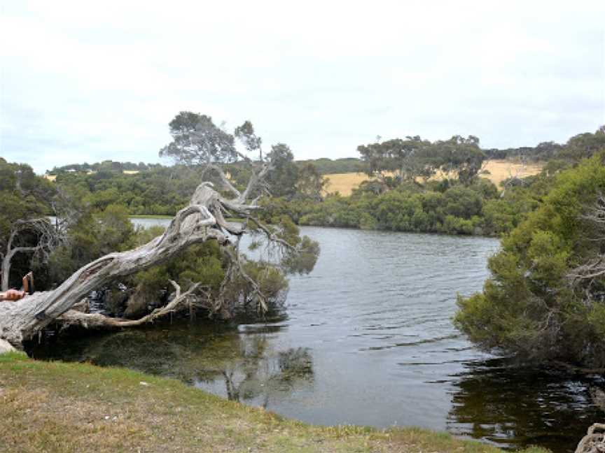 Chapman River, Antechamber Bay, SA