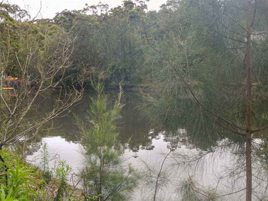 Koonjeree picnic area, Chatswood West, NSW