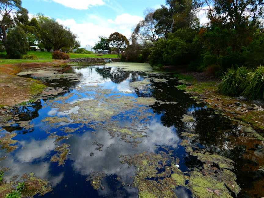 Penshurst Botanic Gardens, Penshurst, VIC