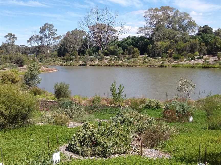 Gleeson Wetlands, Clare, SA