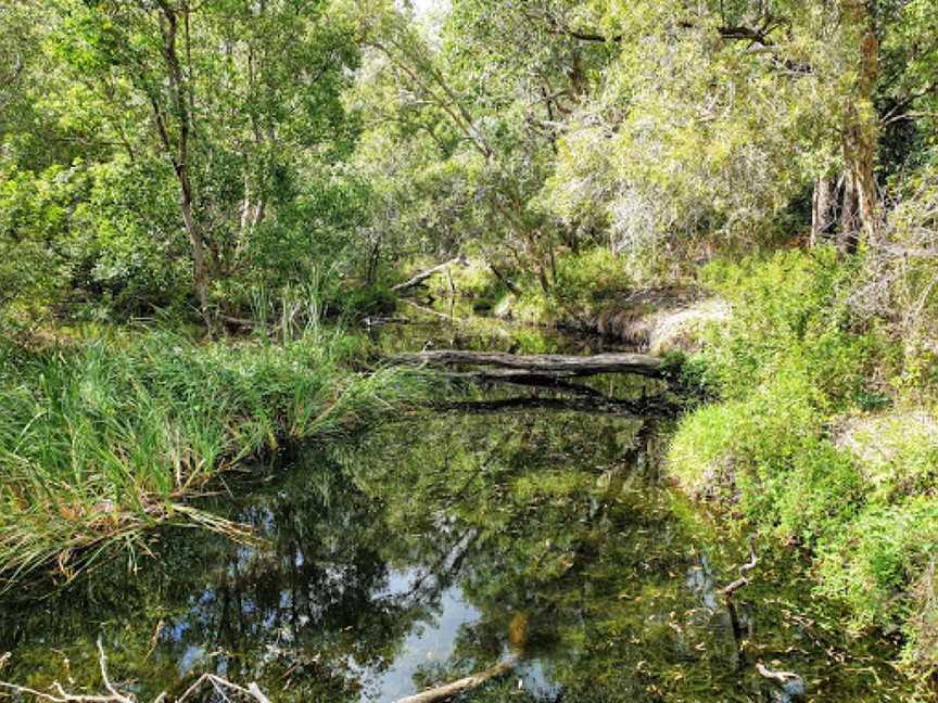 Redlands Track Park, Cleveland, QLD