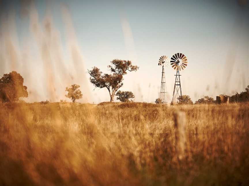 Wangaratta to Everton Station (Murray to the Mountains Rail Trail), Wangaratta, VIC