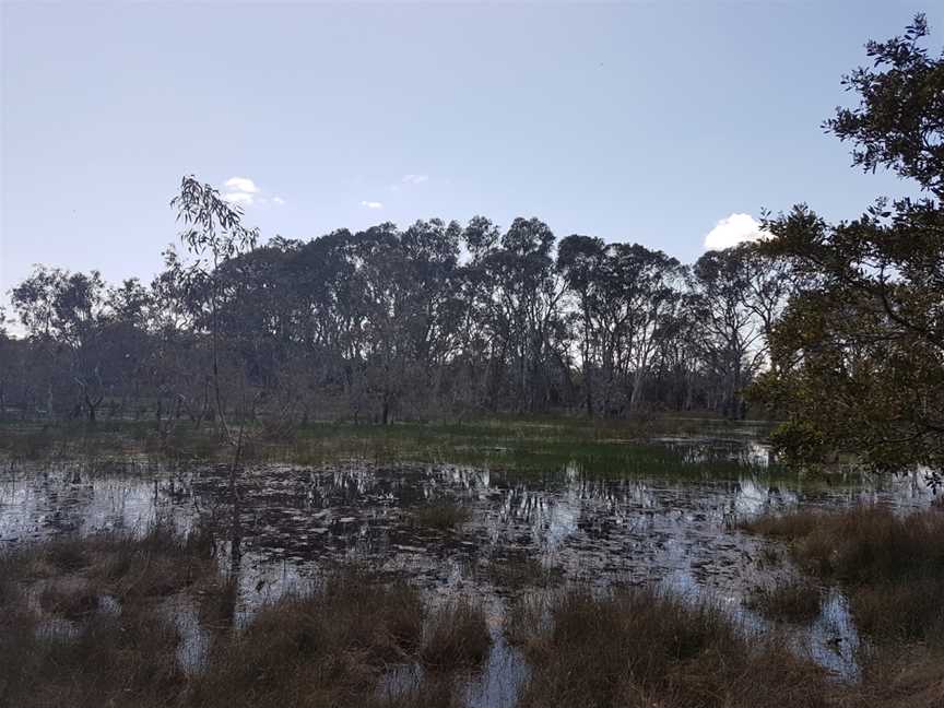 Penola Conservation Park, Monbulla, SA