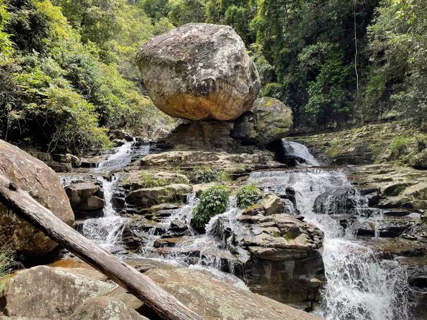 Clover Hill Trail, Macquarie Pass, NSW