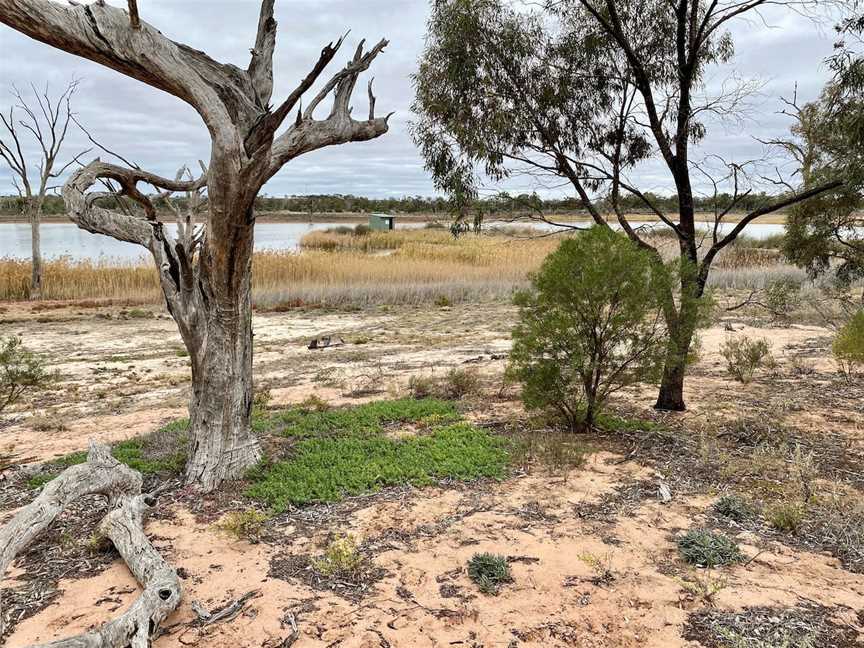 Hart Lagoon Walking Trail, Waikerie, SA