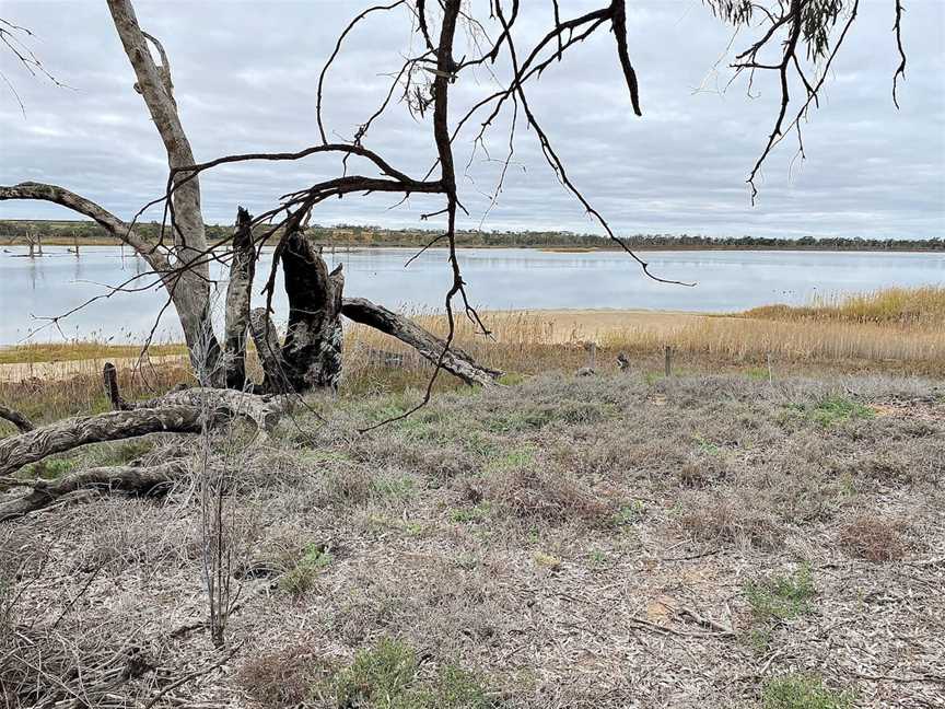 Hart Lagoon Walking Trail, Waikerie, SA