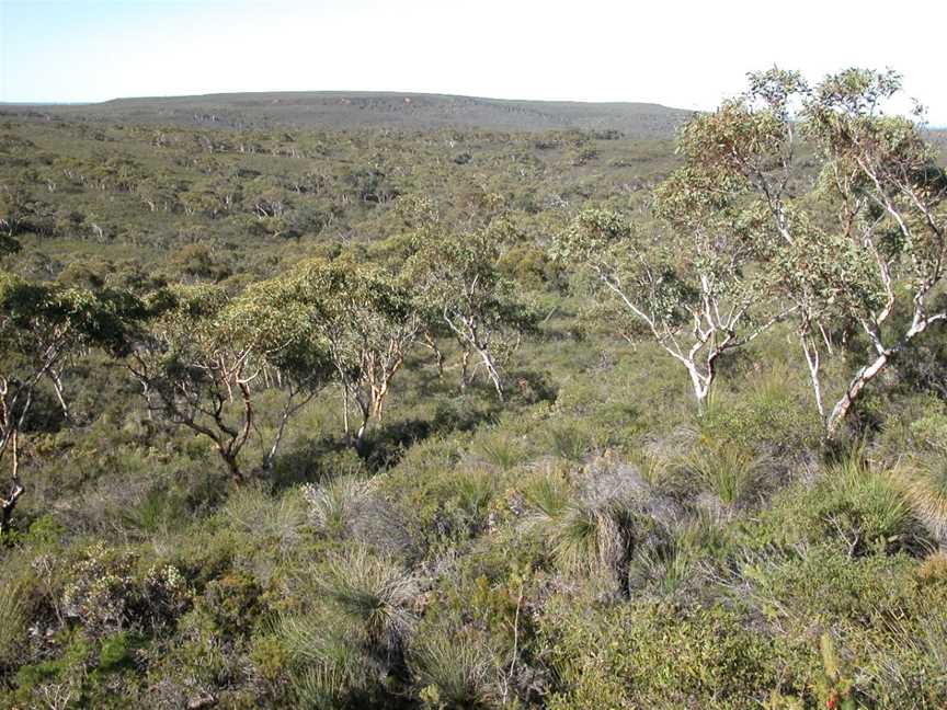 Lesueur National Park, Jurien Bay, WA