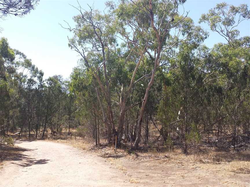 Sandy Creek Conservation Park, Sandy Creek, SA