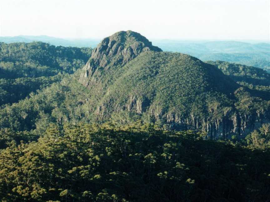 Coorabakh National Park, Lansdowne Forest, NSW