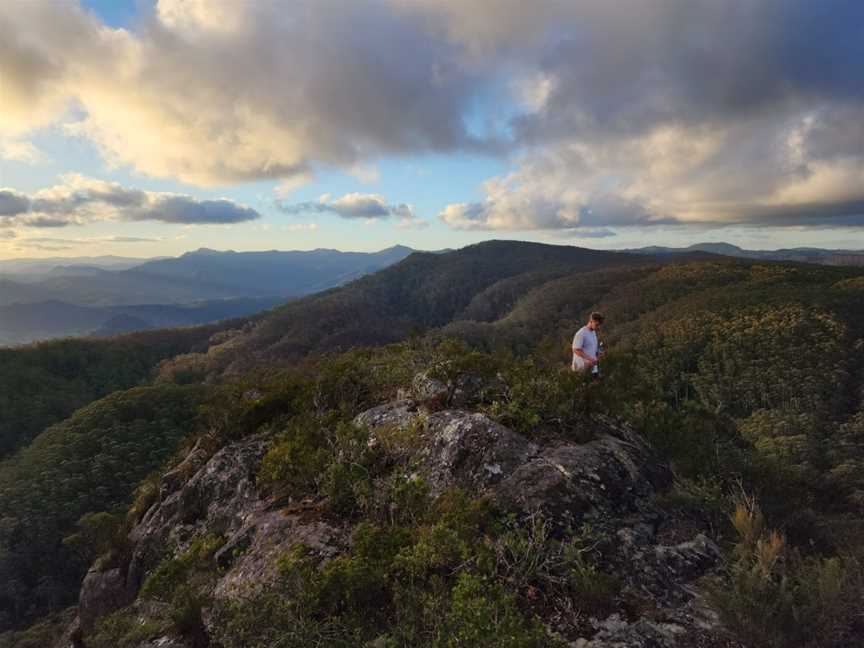 Coorabakh National Park, Lansdowne Forest, NSW