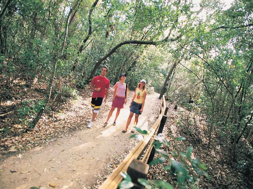 Iluka Rainforest Walking Track, Iluka, NSW