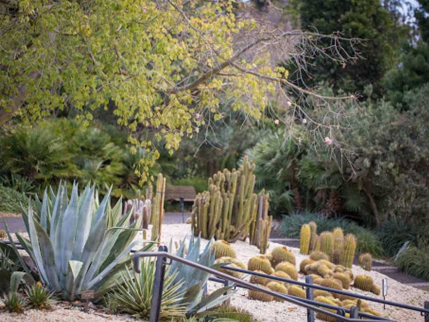 Geelong Botanic Gardens, East Geelong, VIC