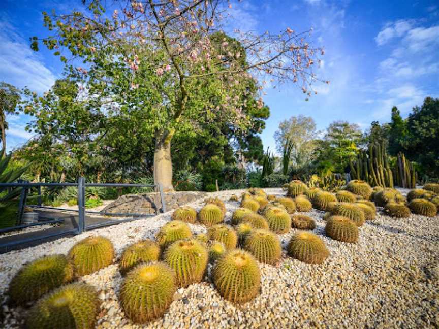 Geelong Botanic Gardens, East Geelong, VIC