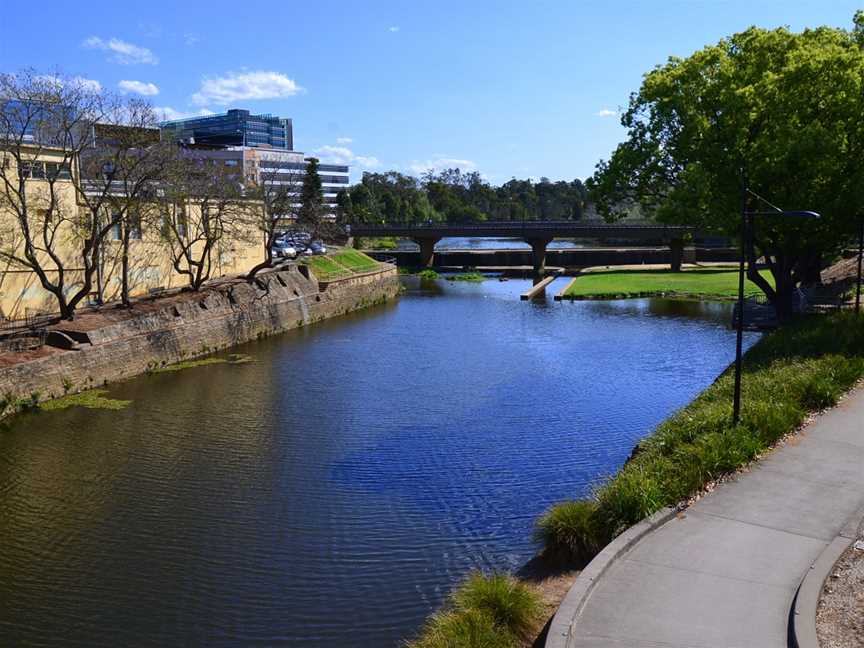 Parramatta Park, Parramatta, NSW