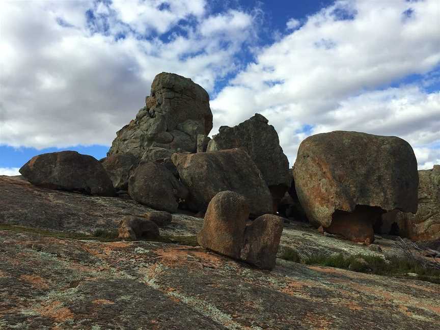 Corrobinnie Hill Conservation Park, Buckleboo, SA