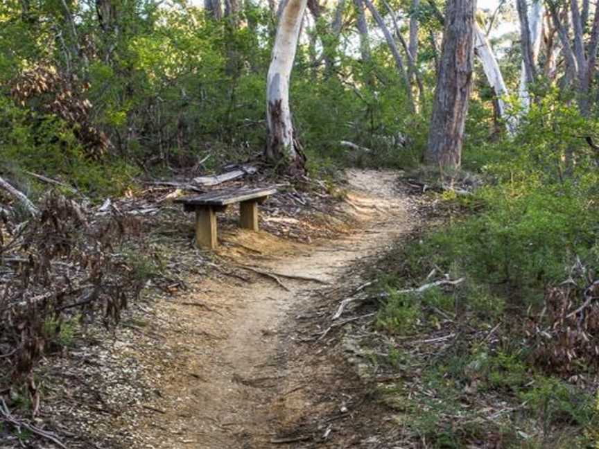 Koala Park (Creswick Regional Park), Creswick, VIC