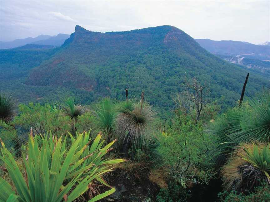 Cunninghams Gap and Spicers Gap, Main Range National Park, Warwick, QLD