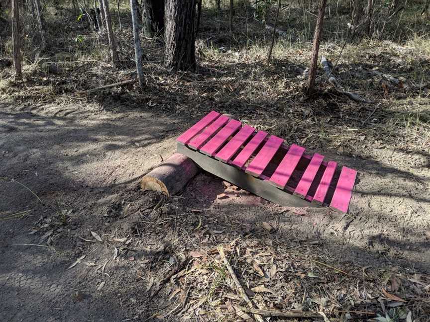 New Italy Mountain Bike Forest, Tabbimoble, NSW